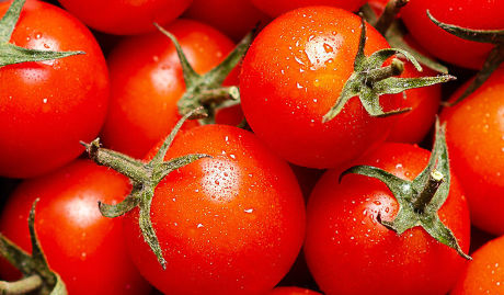 Des produits frais pour composer des plats et menus fraîcheur à base de salade